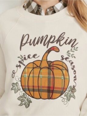 Sable Sky Pumpkin Spice Season Plaid Pumpkin Graphic Lightweight Sweatshirt - 2X